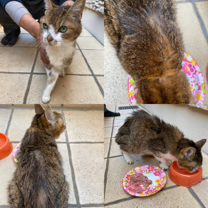 70e05acd c046 4c69 b75a 223cdc890223 1584505926829