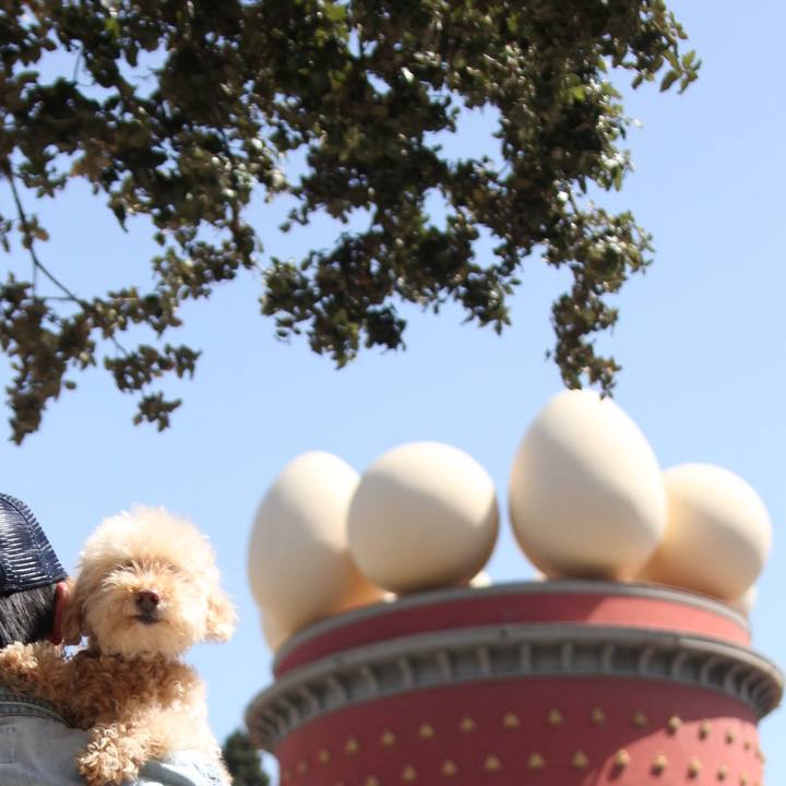 70e087ef 3b74 4103 a04f 9e345eec8f29 1524434130083