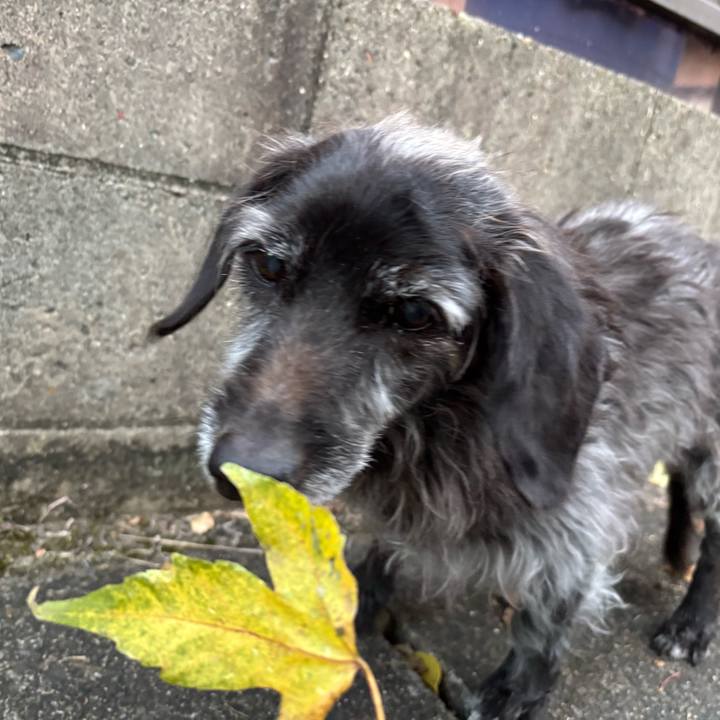 70e0a6f0 8ca5 49f2 ac29 ef04a4c5df0f 1765494394038