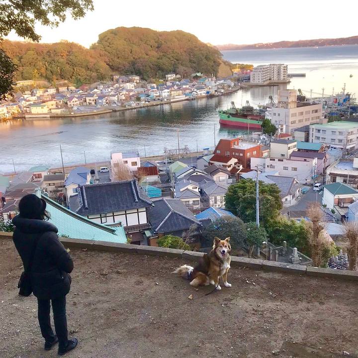 70e0d856 4b65 49b9 ac36 ae2430143614 1546330370133