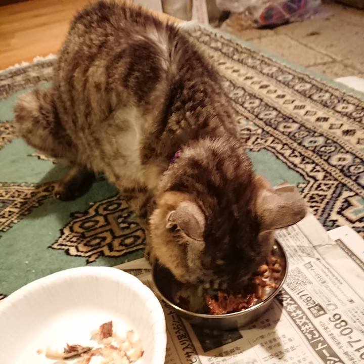 70e0fe60 beed 45f6 b434 62659046ef58 1598953806793