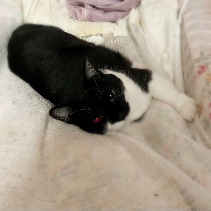 70e10766 af0e 4dc5 8b24 e0df1768d65c 1681900756805