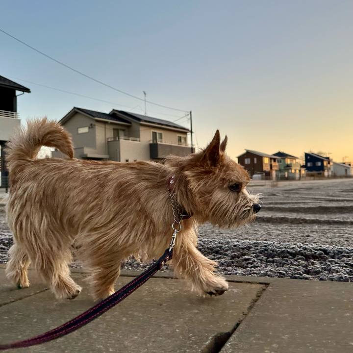 70e10a40 2a22 4fbf b65a 0622a5cd4486 1737976959569