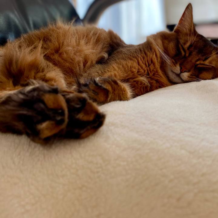 70e17ca5 2ed7 4b9a 8ef8 c789366fcbaf 1701562064130