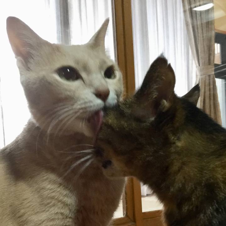 70e191a7 2802 4601 a611 c6ae66b2d79a 1577771878050