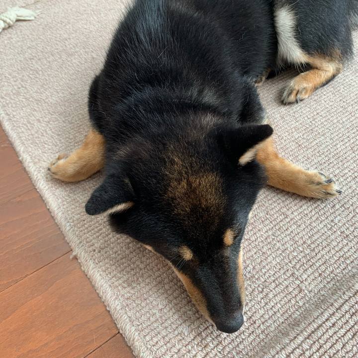 70e1b16c e18f 40f4 a96f 86d4b18a9256 1631263192619