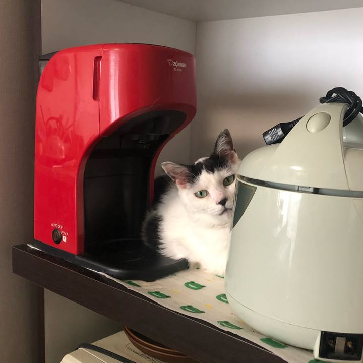 70e1bb22 e603 489c 810a b31000a97ecc 1593473547131