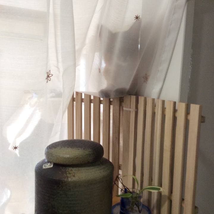 70e1c0b6 7004 4a21 abea 0b86126dcc98 1576035479037