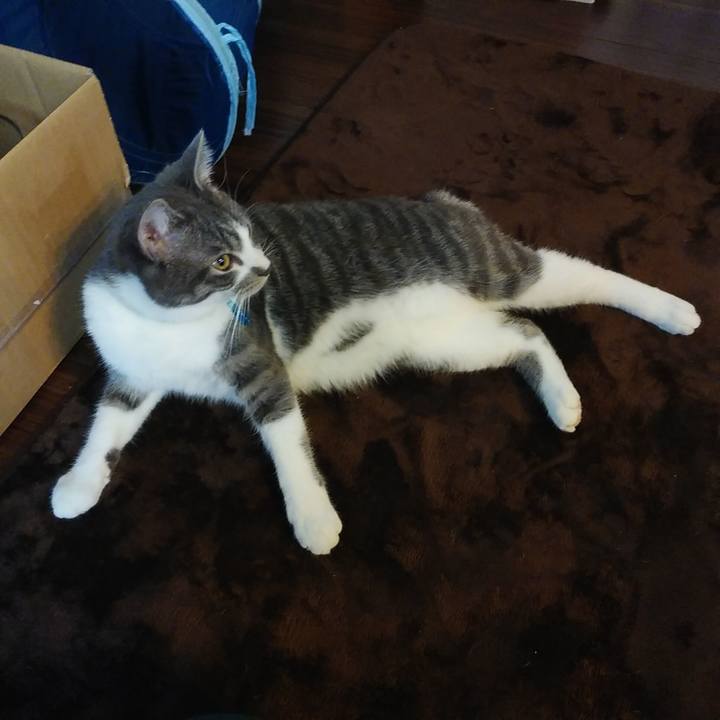 70e1c9b7 dd62 4c0b b15c 91034267ab64 1578783815787