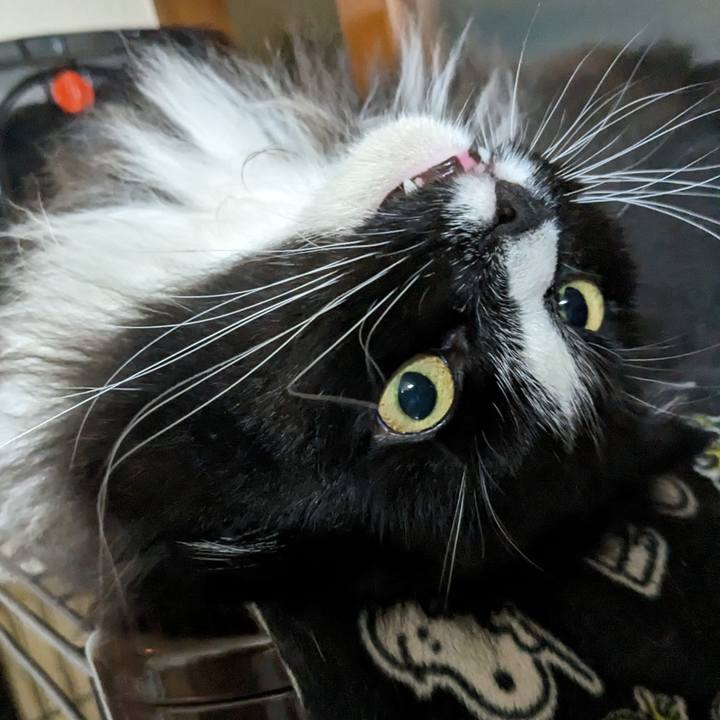 70e1deb7 f0d8 4a10 ba09 0a3548a14c99 1687658092106