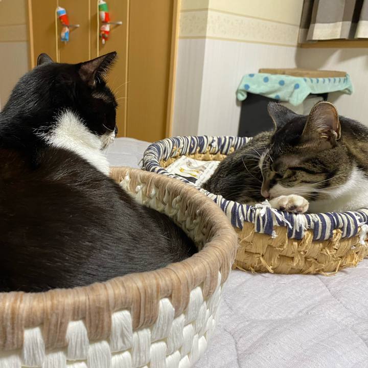 70e1e05b 06bc 4766 8f57 012bc6b23b4c 1659735975417