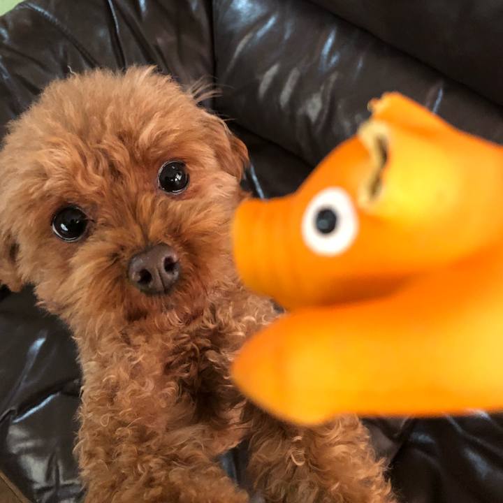 70e232a9 cec2 4349 abb6 eb654607d97f 1549578587117