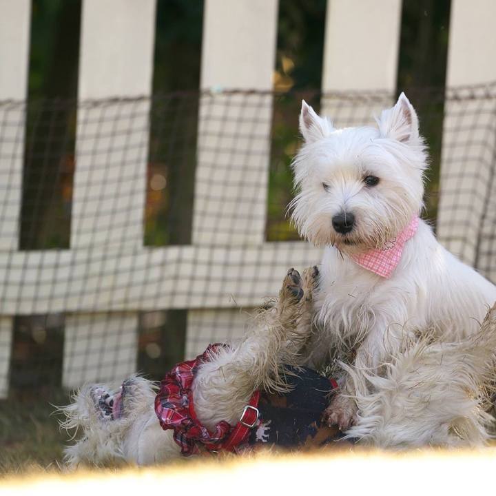 70e241fe d875 4f44 b4ca 75e2846ea9ee 1515328716365