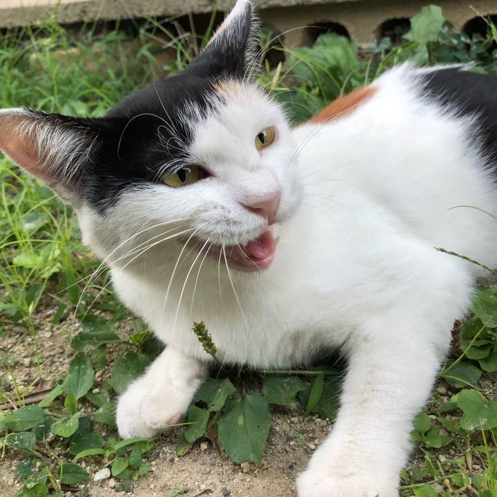 70e2480f 1c71 4c28 bcf6 926078802aec 1598264514115