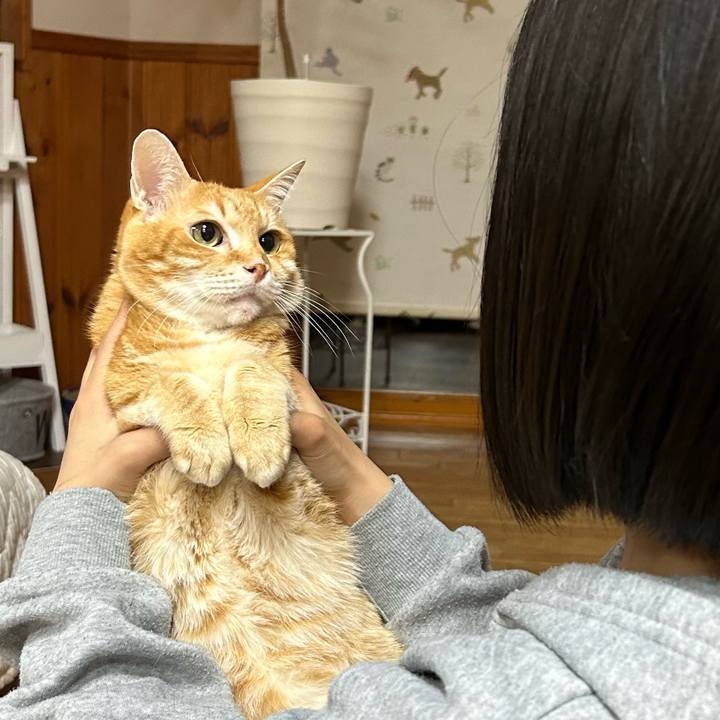 70e2a5fc c565 422b 93f9 5eecc4e57dd4 1680524447662