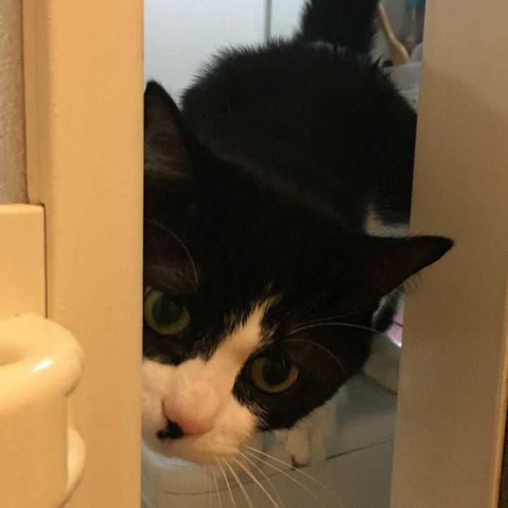 70e2db40 01d4 4611 a8b9 4094c2d17839 1577787746667