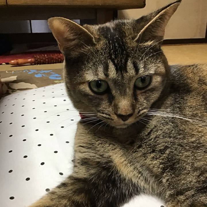 70e31782 6af1 4e93 853e de9a9b5f5544 1602117808813