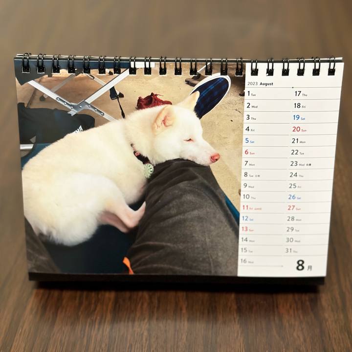 70e321fb dd1e 4386 b49c 0de0f309d9de 1690875207337