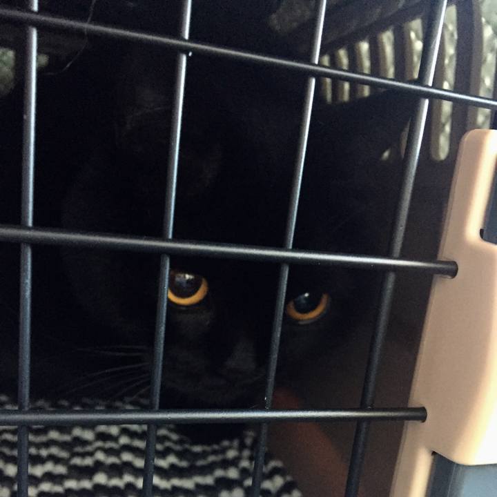 70e3552c d0c5 494d b50f c50ba4b4f375 1579939207162