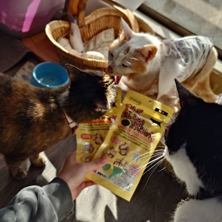 70e35cdb 445a 4be2 a3ba 7a5b21111e7e 1763344541363