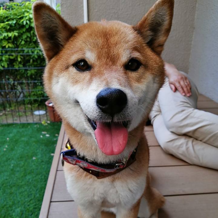 70e38f7e 17db 4857 862e a8d3c74058c9 1588405228891