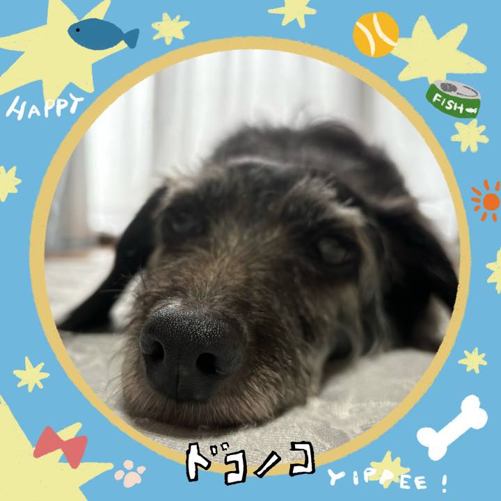 70e39704 18f7 4755 9701 3c4fcb5598fe 1721171106454