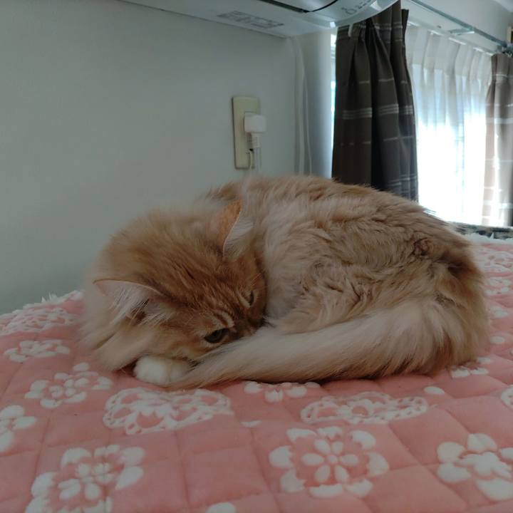 70e3ae8e bc16 4ca9 808c d4d44f7f0b13 1706322599304