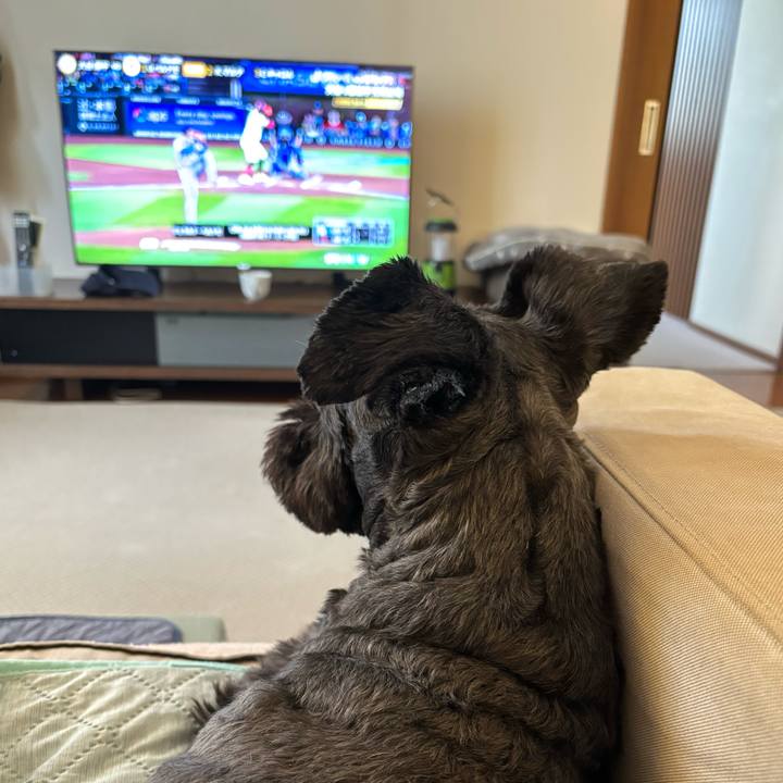 70e3bcdf 34c6 4965 863f 9c0b2fe6fc35 1758678924830