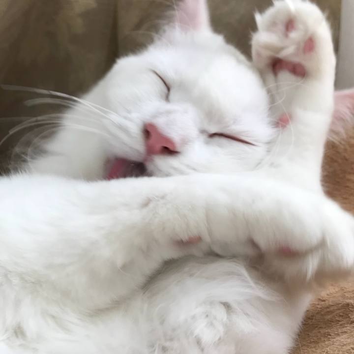 70e3d315 245e 4c0e 9b57 f7fa8546dde0 1525524023488