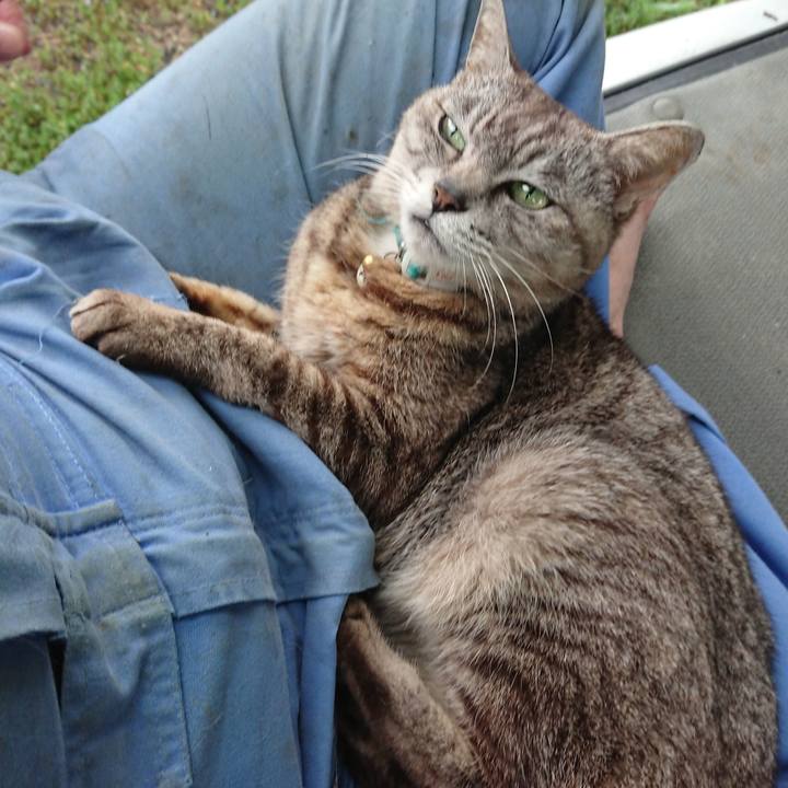 70e42c98 a35b 4b25 b1cb 02ac64694c19 1563090347536