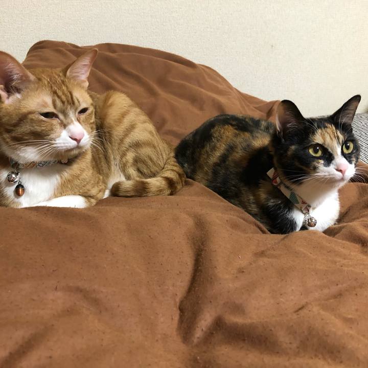 70e434ad 94a6 4304 8022 60aa06d82c45 1560347168983