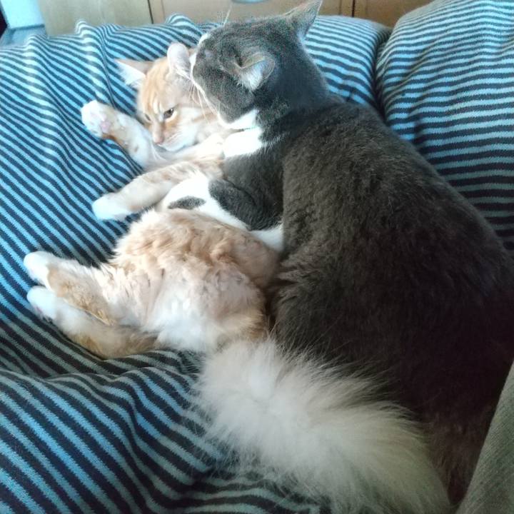 70e455b1 0548 4786 8741 d381f586a9f6 1644016376057