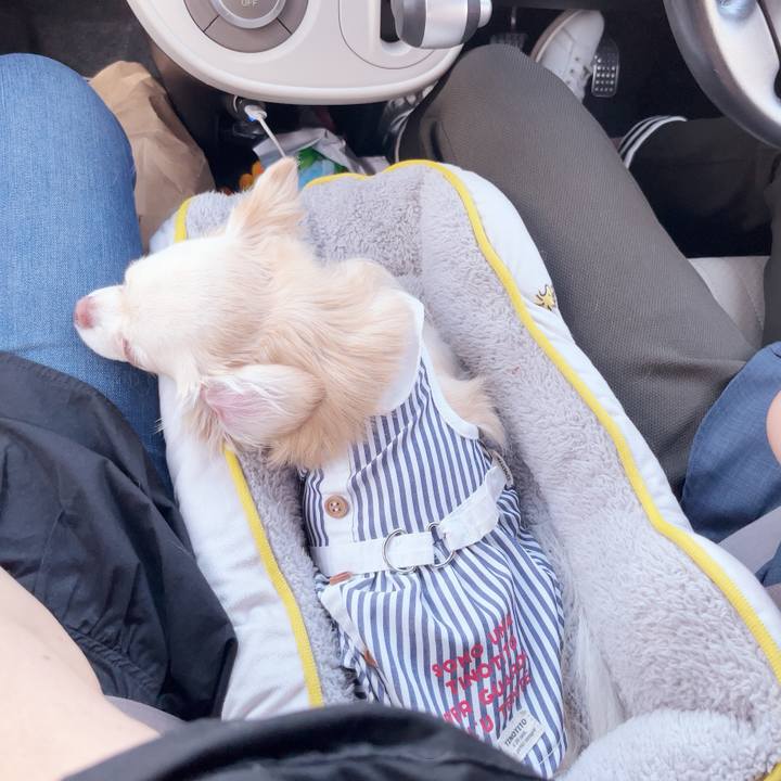 70e457b7 42f6 4491 a969 b1536caf29fc 1749992882898