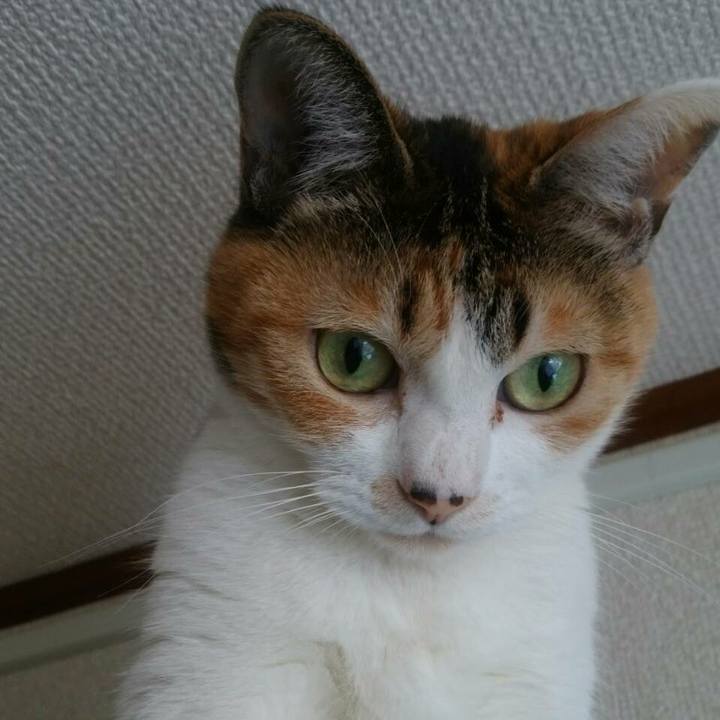 70e466aa 0792 4541 89f3 8648ef51875f 1521600660287