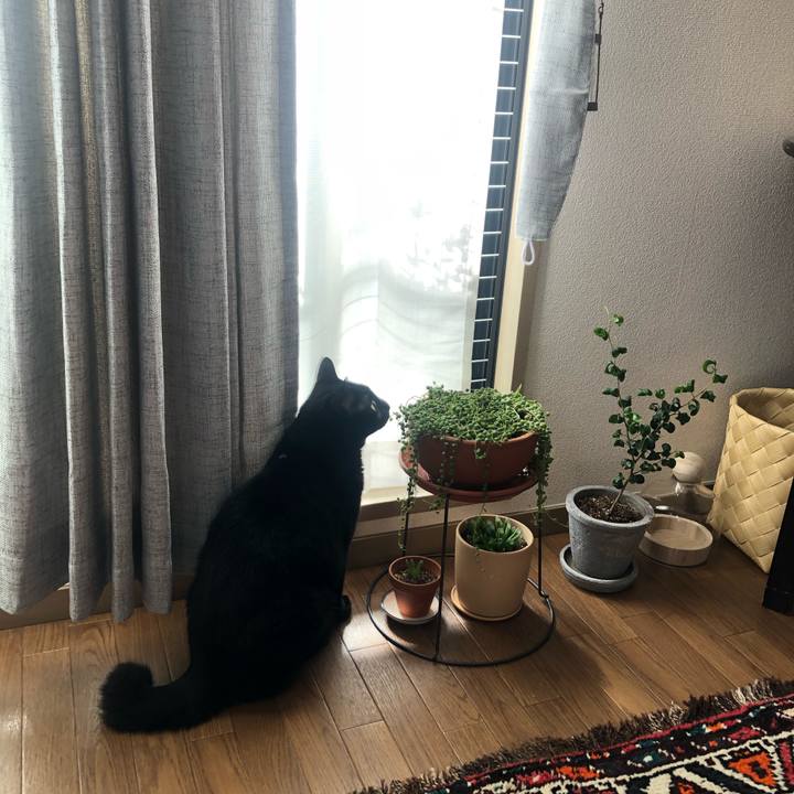 70e46e06 901f 497b 963f aa73c23b8ec5 1604278528109