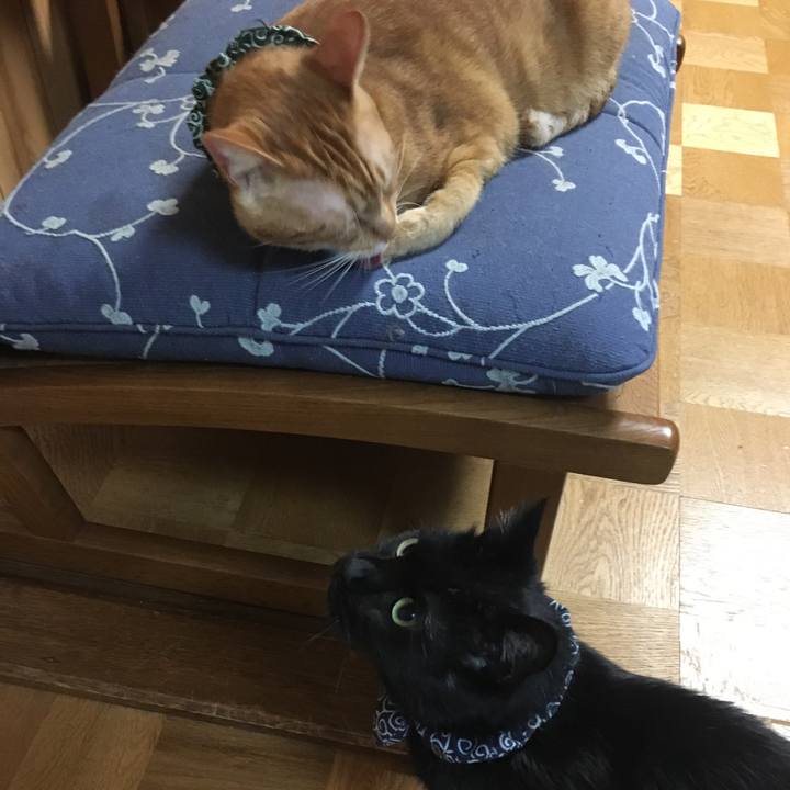 70e46e49 1e1e 4514 a9f3 ebd7f6eea70f 1538146288250