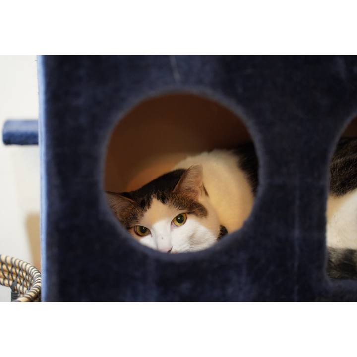 70e4b56b 46b6 4360 8df6 1d2a12840669 1666102940820