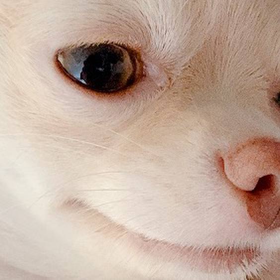 70e4c75d 0c94 4db2 b02d f08323cab125 1598674199976