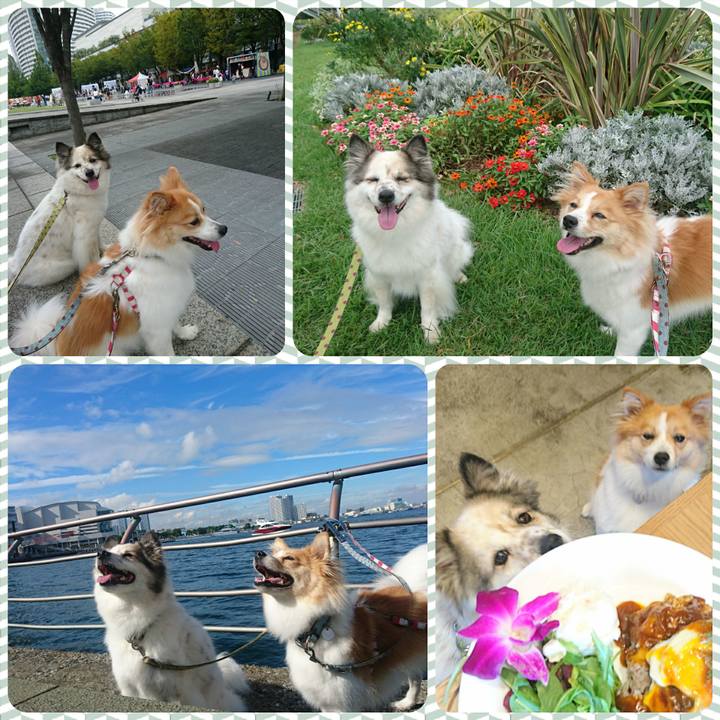 70e4ce26 0d4a 4464 8dd6 e92a2e1773f7 1569756041901