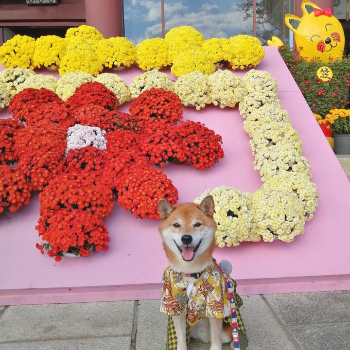 70e50c77 1fb5 43b2 89f7 d40c0100566f 1667963746649