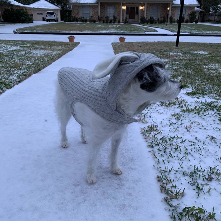 70e54044 f477 4b05 a5ab 96b0bc5c9c86 1613426241316