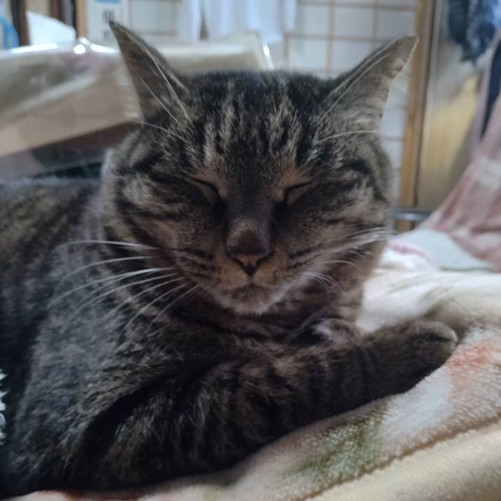 70e57c82 7c6e 4121 981b fa30ec95999a 1674370902362