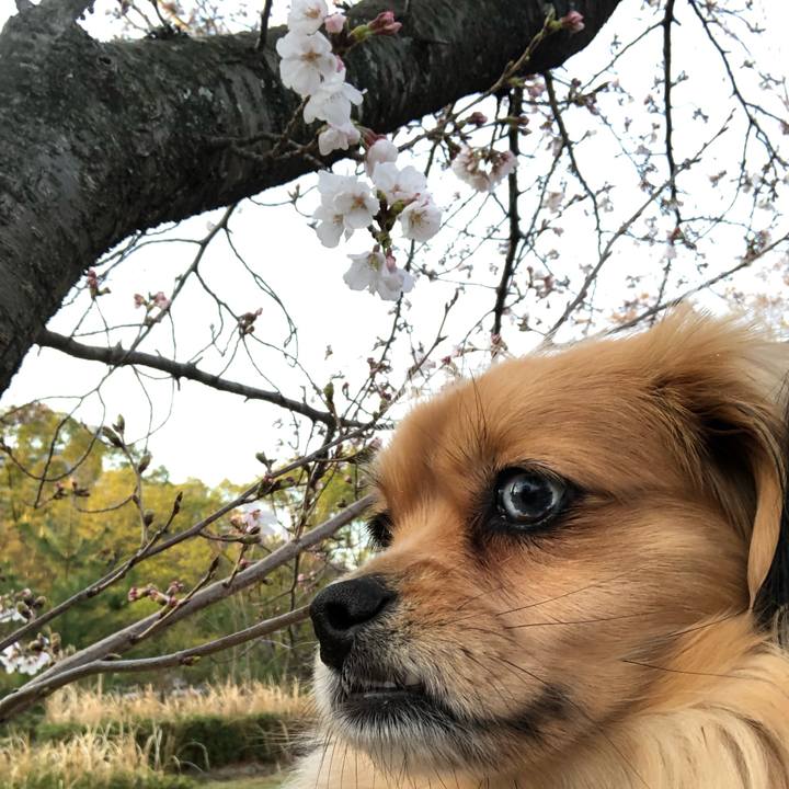 70e5851a 47d6 42a6 94da c6e5877cef8b 1554069489474