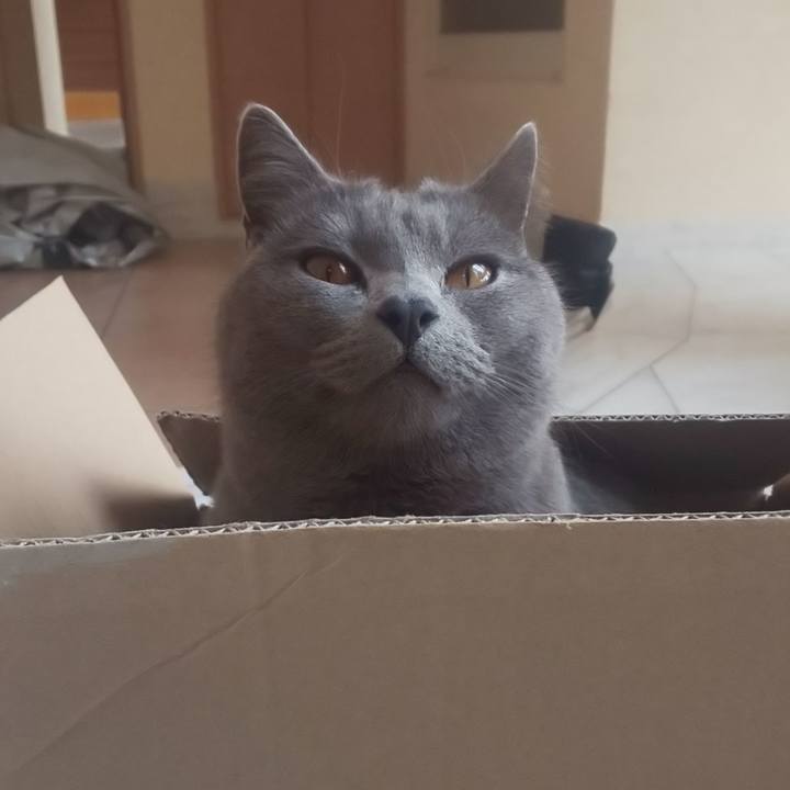 70e5c28d 7073 407f a000 b6e362b3b17c 1546771127077