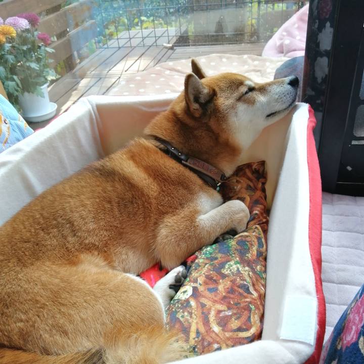 70e5c581 127e 464d b7b9 cfd74993f326 1605236001721