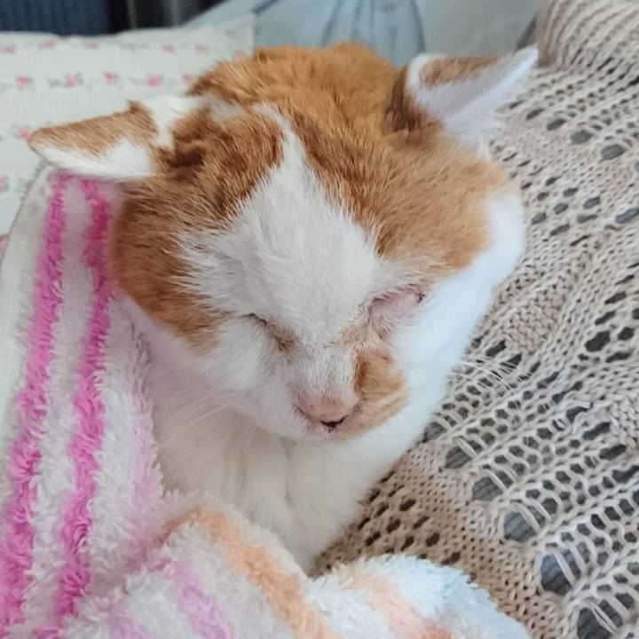 70e5cbf9 6cc9 4fd9 924f 4760d3923ddd 1600640938722