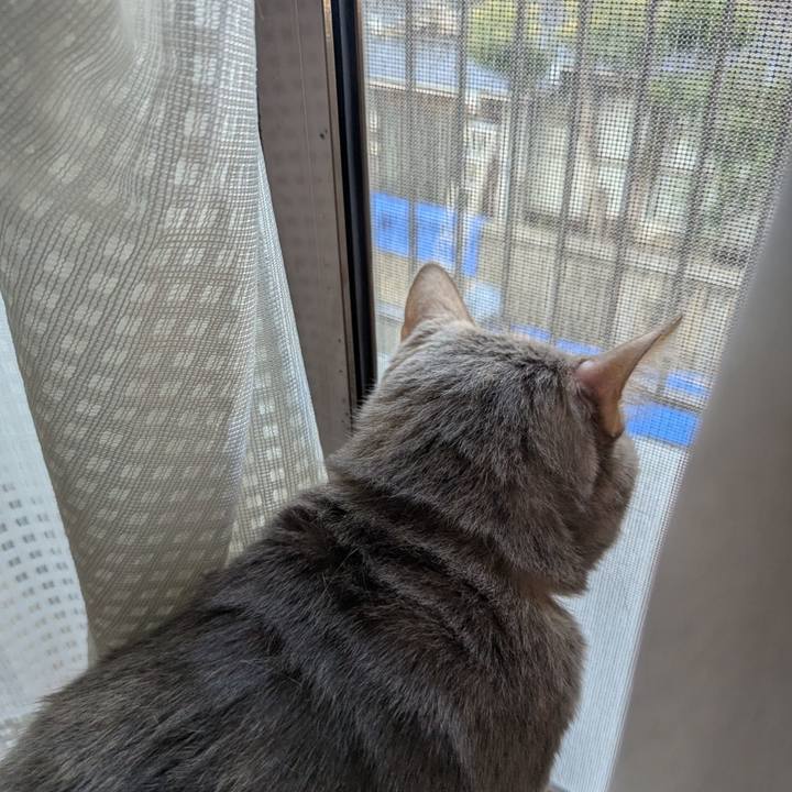 70e5cc2a 8edd 412f abef 04be374cc085 1772086926209