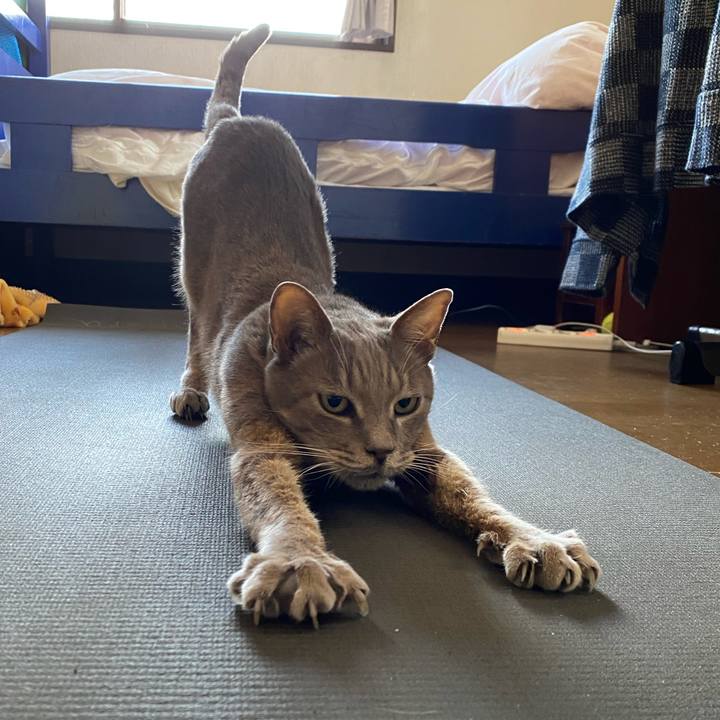 70e5e28a 2526 45ad 916c 310abab9f265 1643548311174