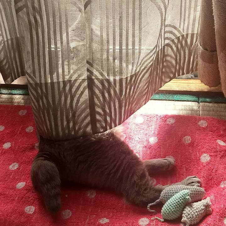 70e5f139 fe9d 4633 a7c8 5d1711c8d6ad 1695513668856