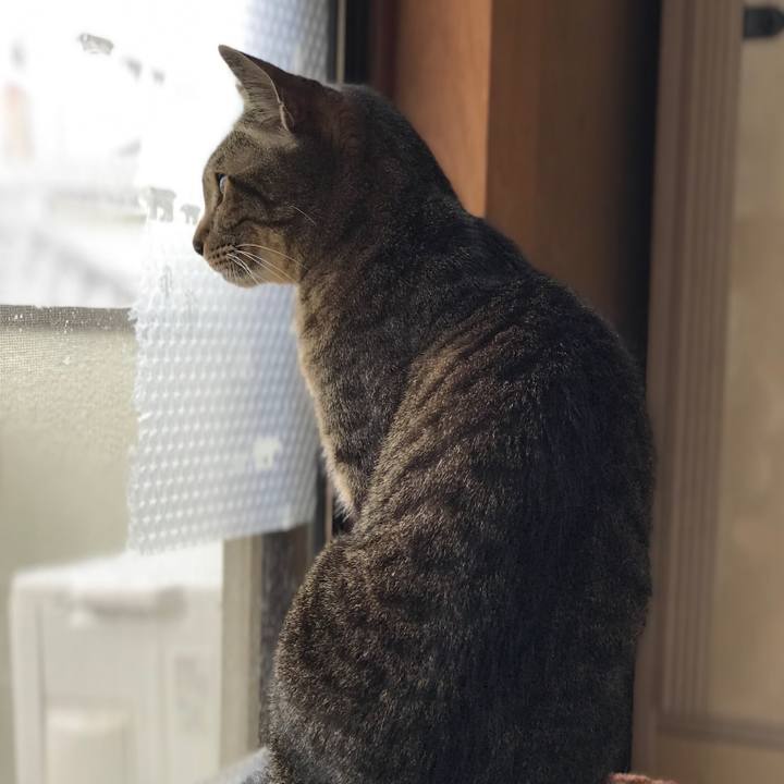 70e5f928 ee80 4ed1 995c ff4bbf1ec807 1525829152205